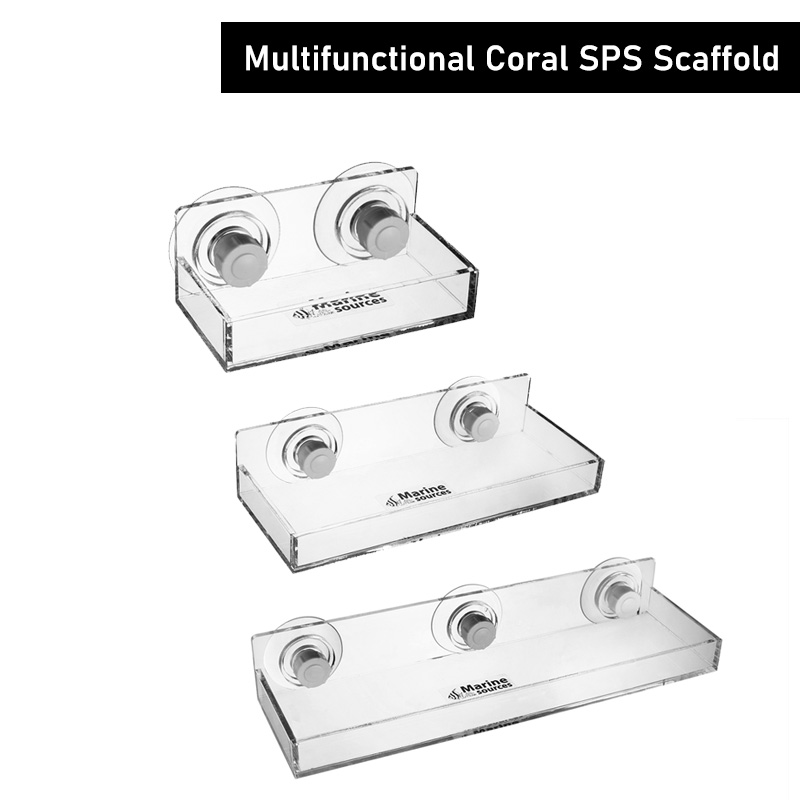 Marine Coral - Fontes marinhas Multi-funcional Coral SPS Andaime