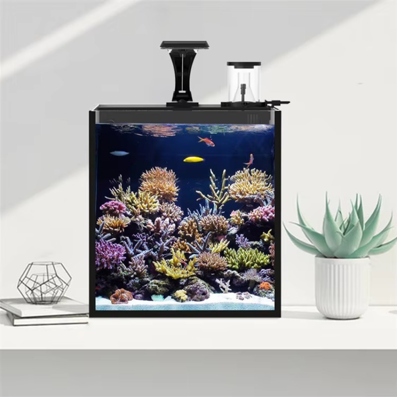 Aquário Mini de Água Salgada e - Marine Aquarium Cube avaliação e preço