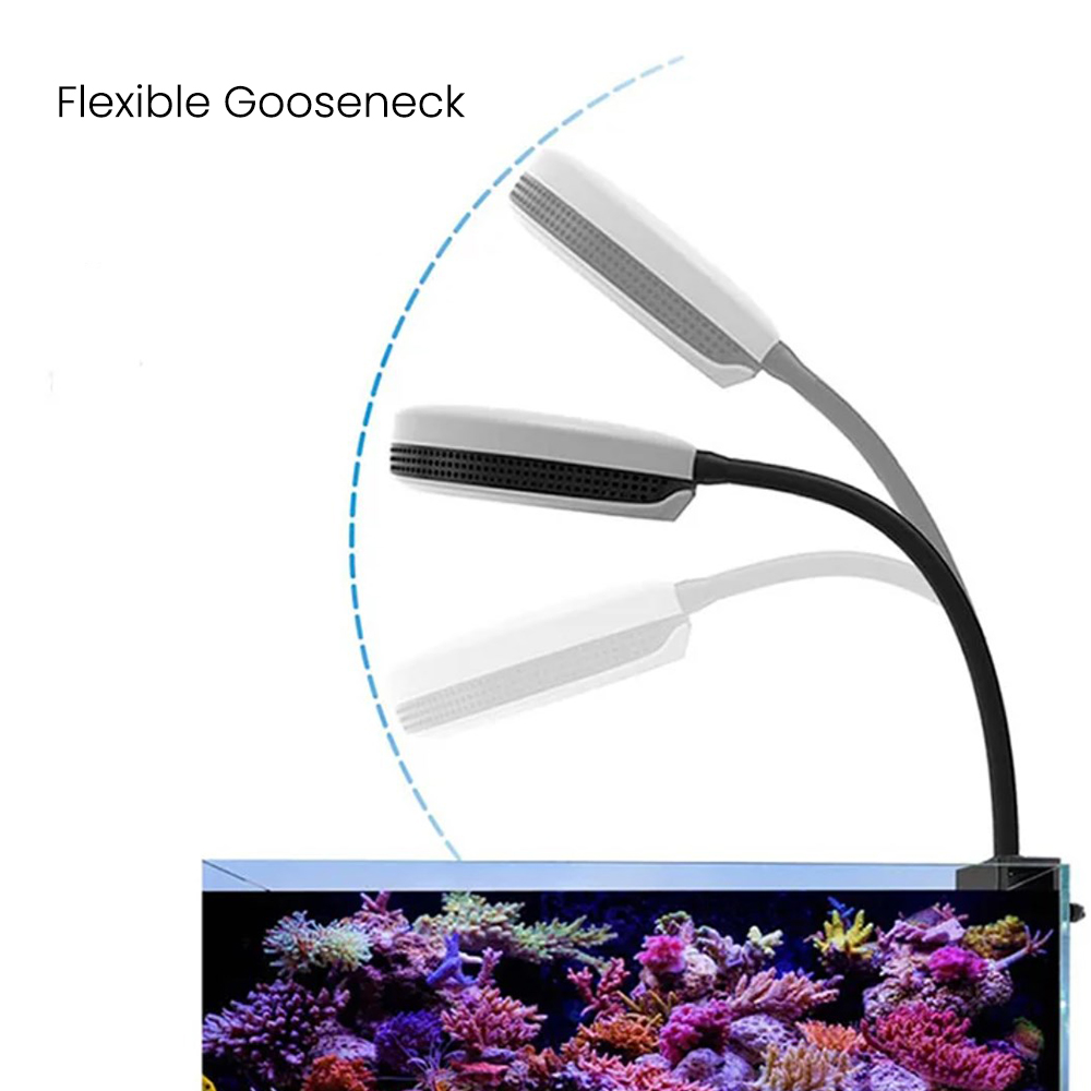 Luz LED para Aquário Spectra S - Marine Coral avaliação e preço