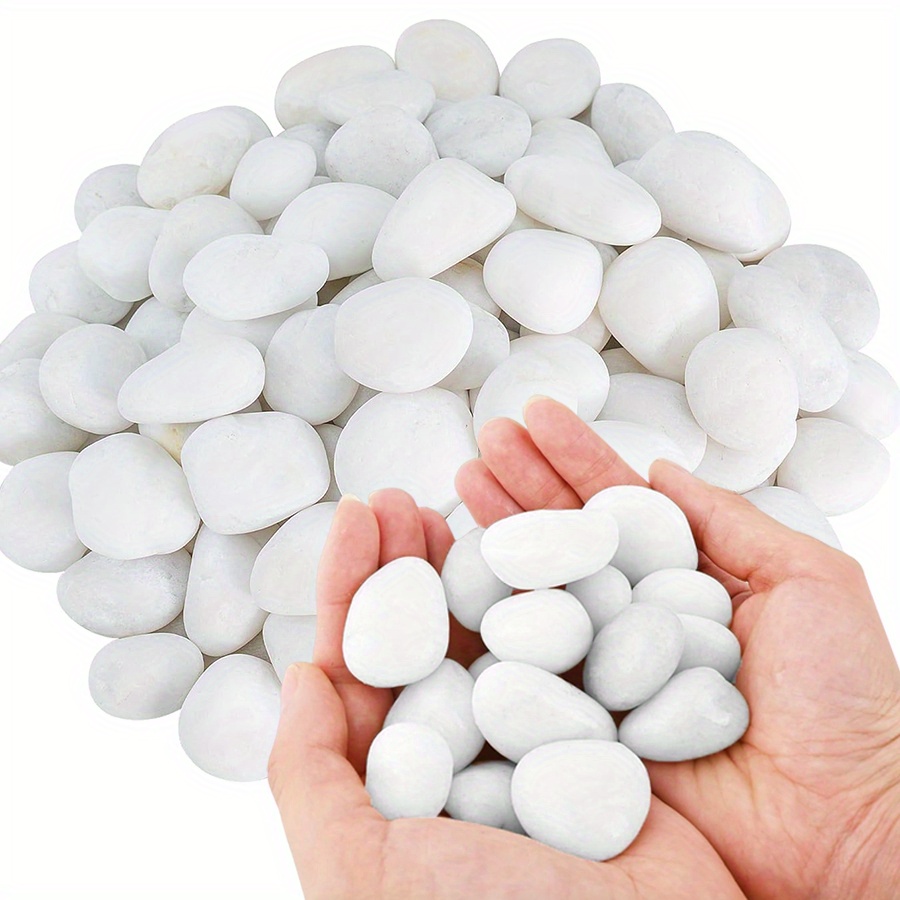 200/400g branco alto polido se - Marine Fish Tank avaliação e preço