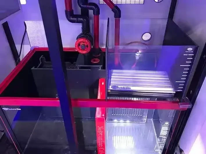 Luz LED Neptunian Cube Refugiu - Marine Aquarium Cube avaliação e preço
