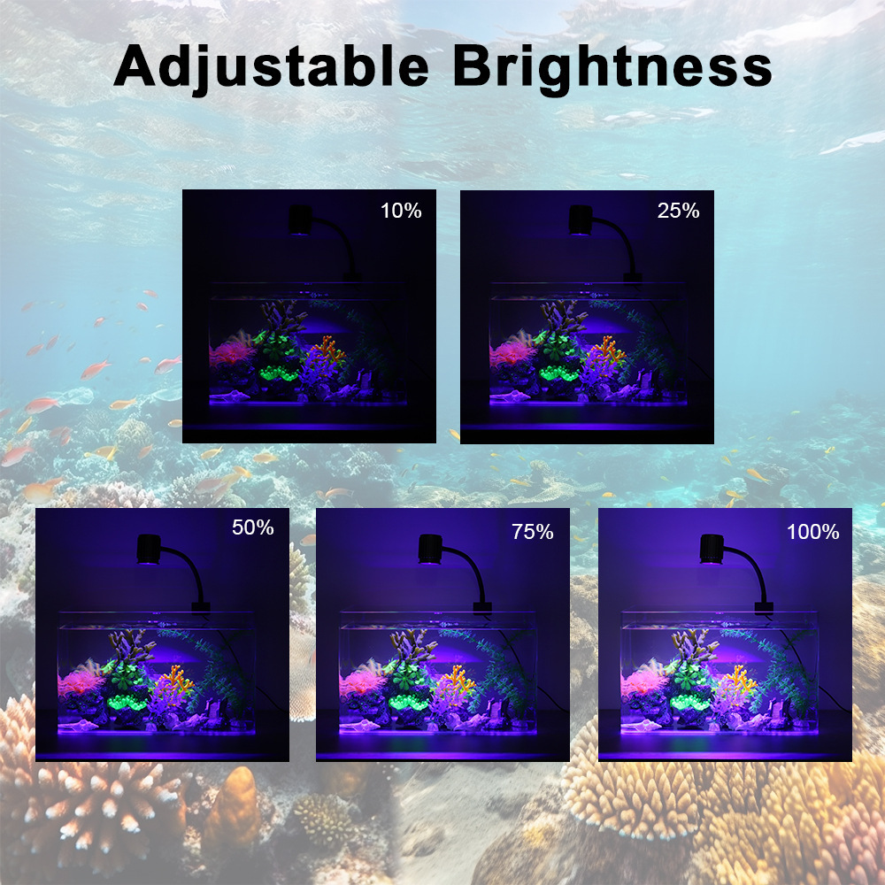 Luz LED para Aquário de Espect - Reef Lighting avaliação e preço