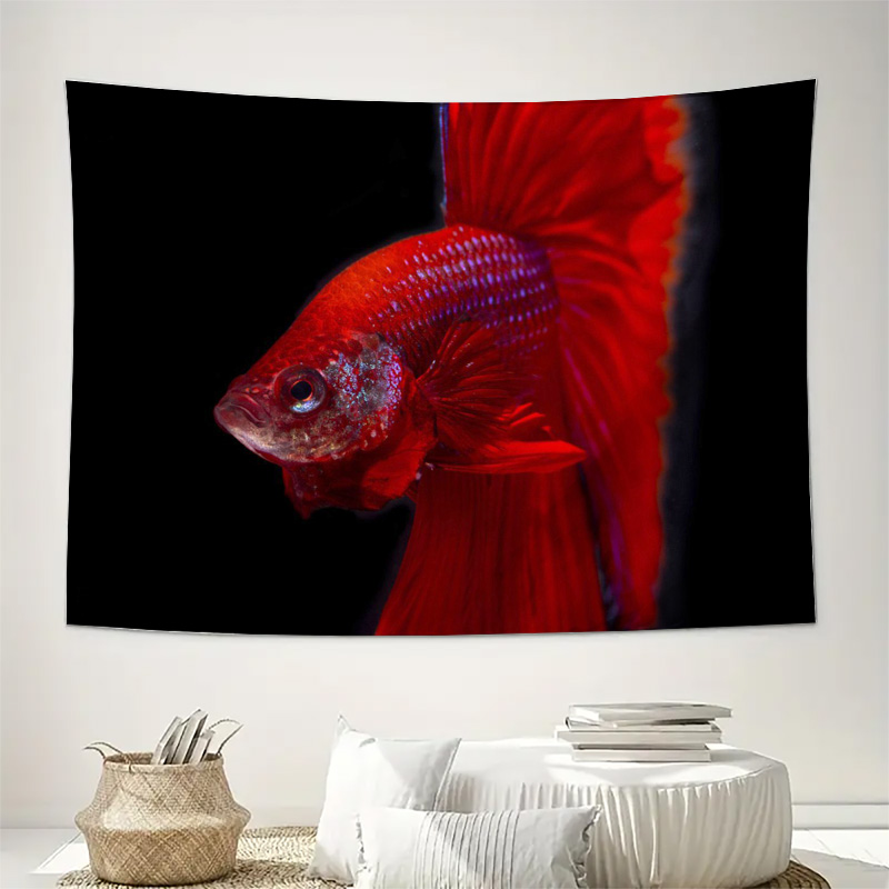 Tapeçaria de Peixe Betta Verme - Ocean Aquarium avaliação e preço