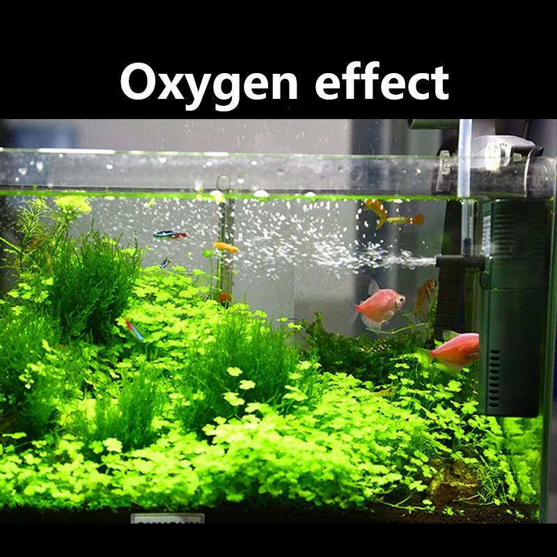 Bomba de Oxigênio Submersível  - Reef Tank Filter avaliação e preço